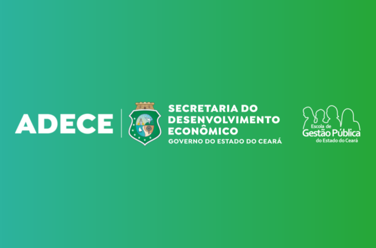 GESTÃO DE DADOS: LEI DE ACESSO À INFORMAÇÃO E LEI GERAL DE PROTEÇÃO DE  DADOS PESSOAIS - TURMA 01 (EXCLUSIVA ADECE)